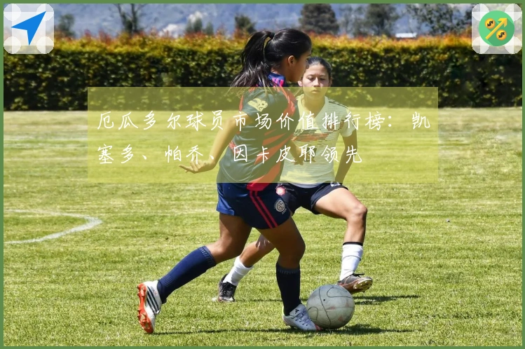 厄瓜多尔球员市场价值排行榜：凯塞多、帕乔、因卡皮耶领先