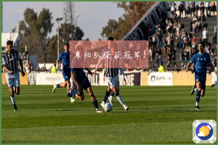 阜阳队荣获冠军！